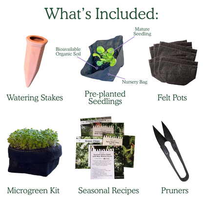 The Seasonal Garden Kit