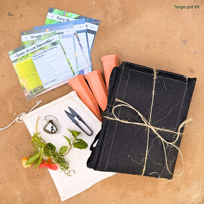 Smoothie Garden Kit