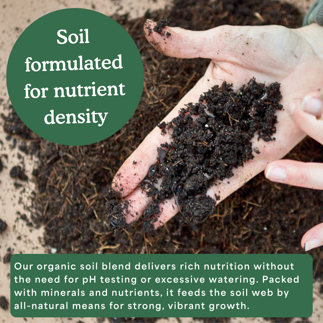 The Seasonal Garden Kit