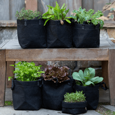 Seasonal Garden Kit