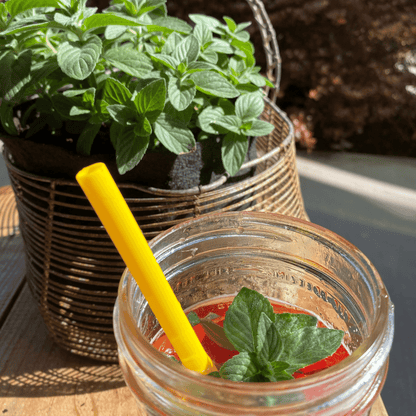 Organic Herb Garden Kits