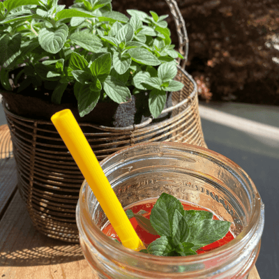 Organic Herb Garden Kit