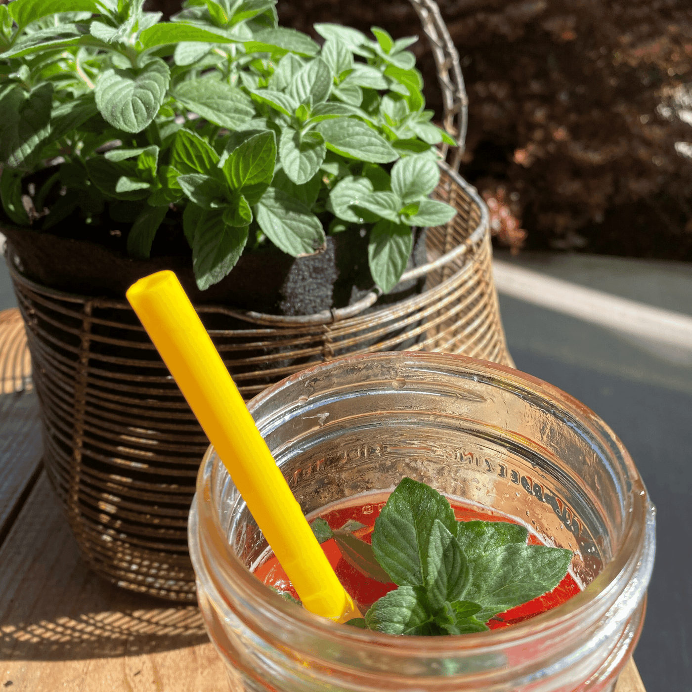 Mixology Herb Garden Kit