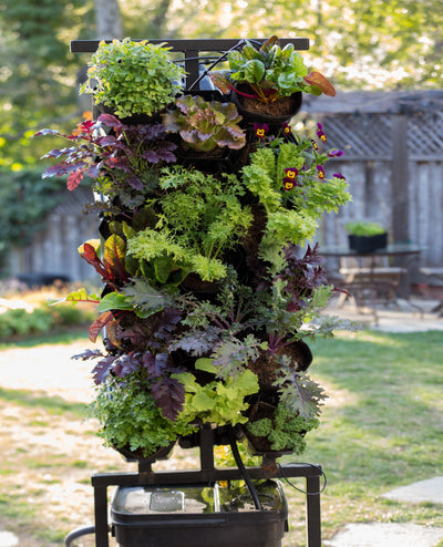 Deluxe Planted Wall