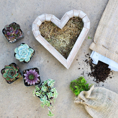 Small Heart Frame Kit contents