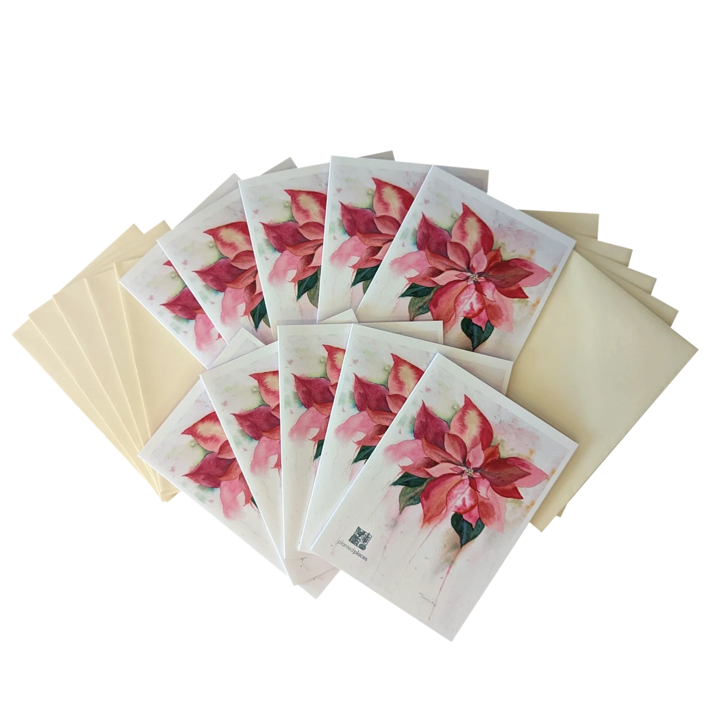 Poinsettia Notecard Set - 10 cards (1 design)