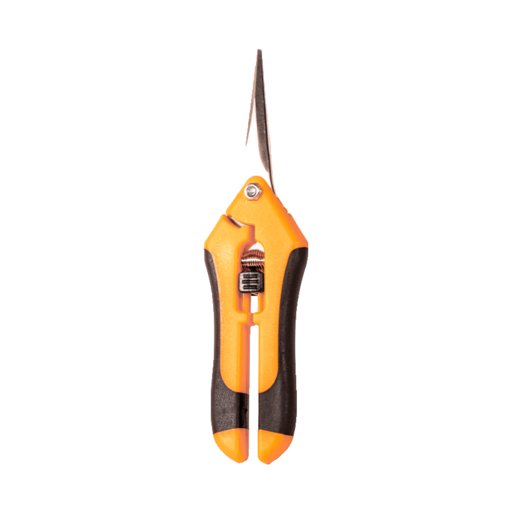 Pruning Clippers
