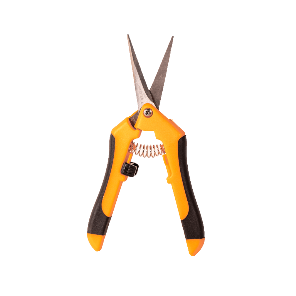 Pruning Clippers