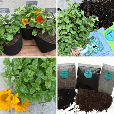 Starter Garden in a Box + Gardening Mini-Course