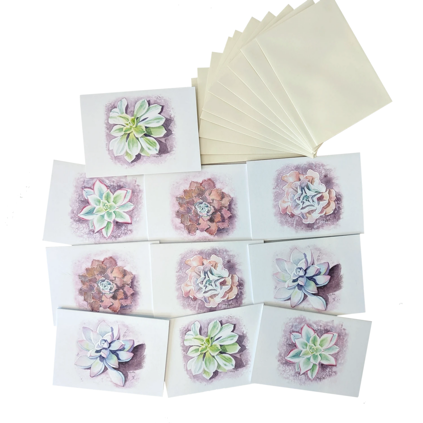 Succulent Notecard Set - 10 cards (2 x 5 designs)