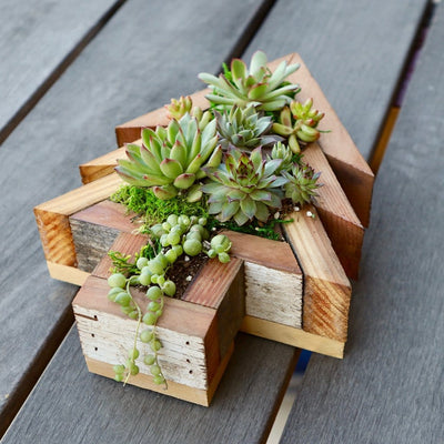 Wood Tree Frame planted - side view