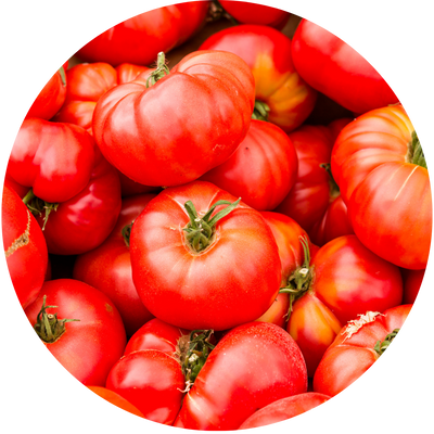 Brandywine Tomato Grow Kit