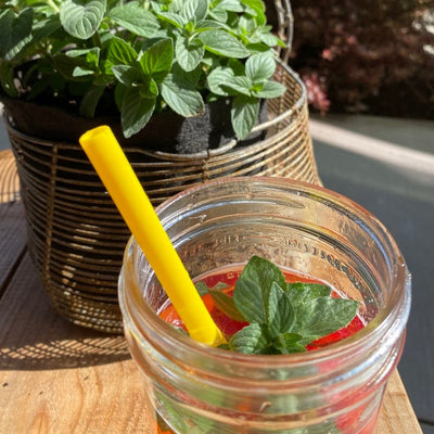 Specialty Herb Garden Pot